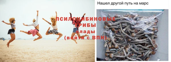 сатива Армянск