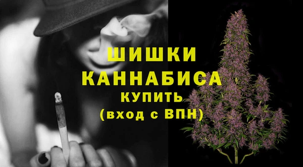 сатива Армянск