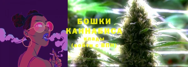прущие грибы Аркадак