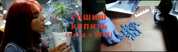 прущие грибы Аркадак