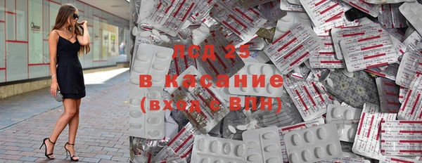 прущие грибы Аркадак