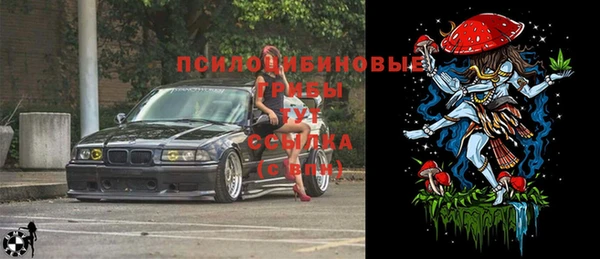 сатива Армянск
