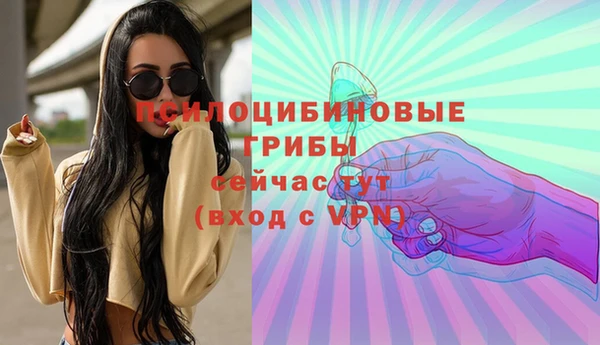 сатива Армянск